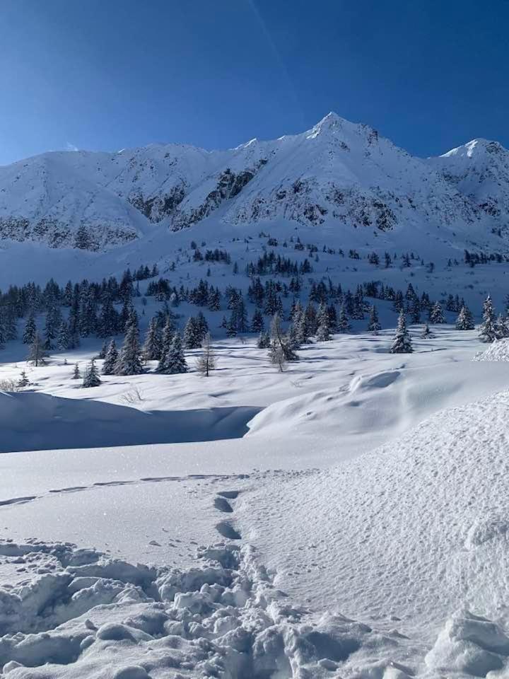 White Home Tonale Пассо-дель-Тонале Экстерьер фото