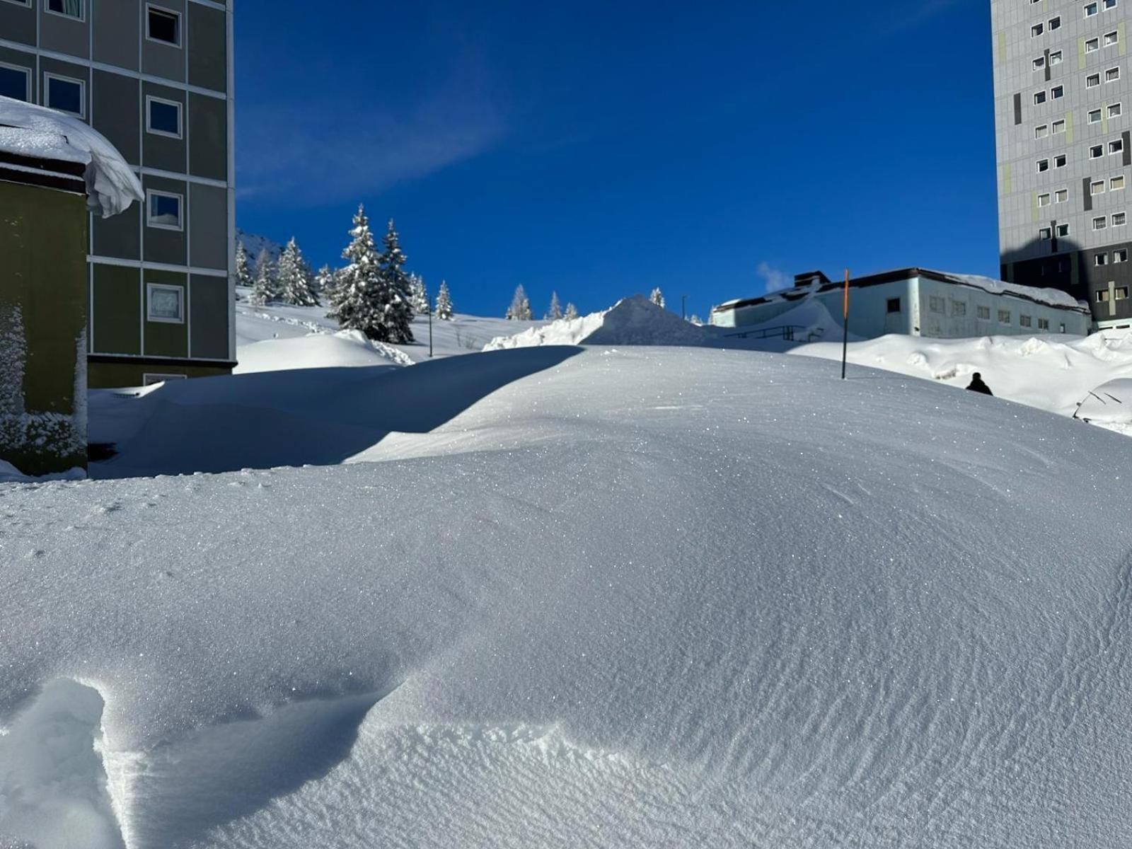 White Home Tonale Пассо-дель-Тонале Экстерьер фото